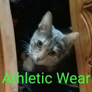 Athletic wear